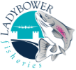 Ladybower Fisheries